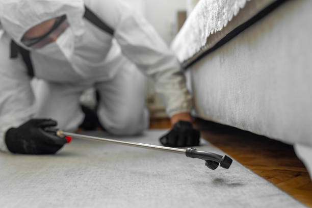 Professional Pest Control technician working in Stonewall County County, TX